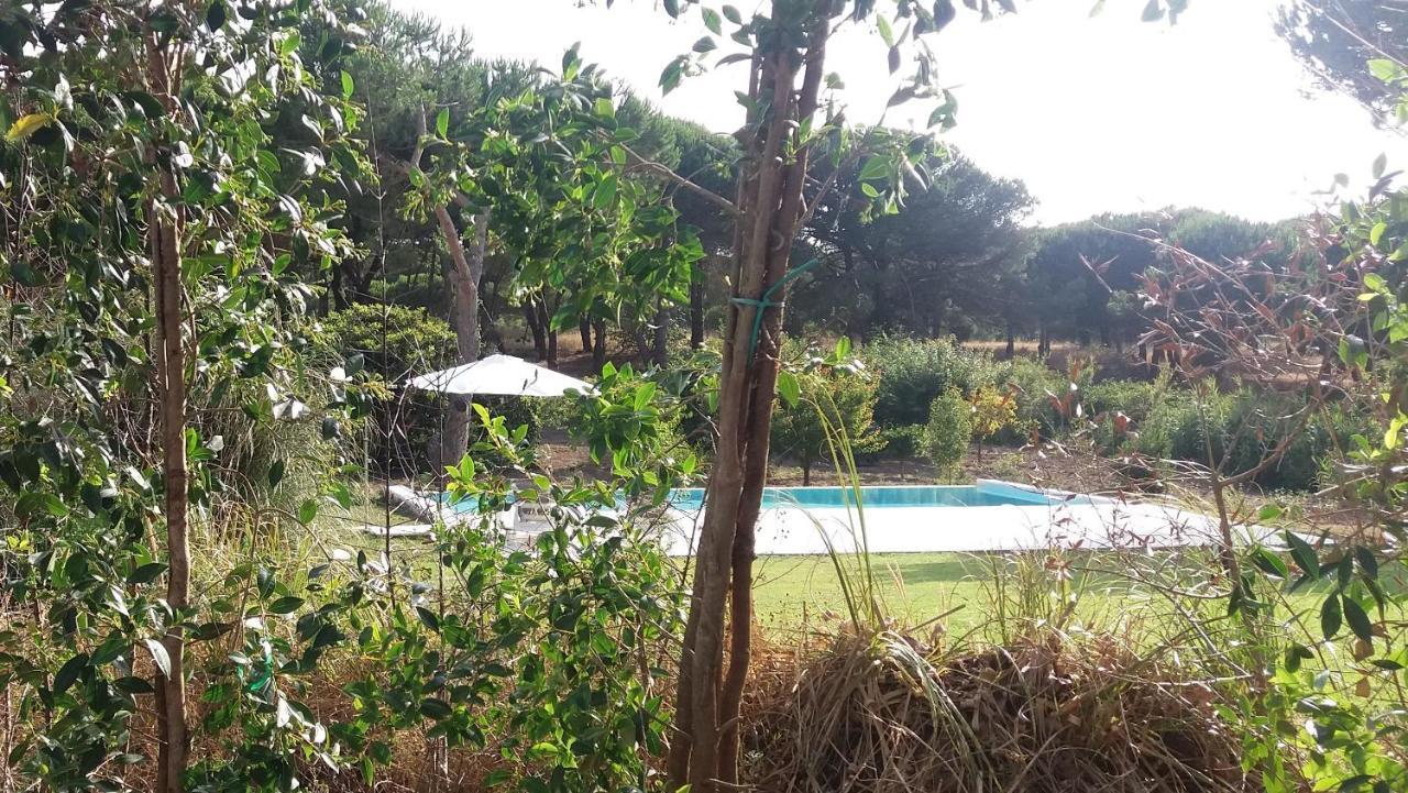 Casa Rio Da Prata Villa Aldeia do Meco Exterior photo